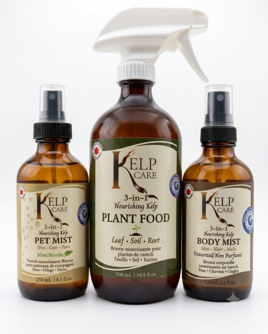 The Benefits and Convenience of 3-In-1 Care Products