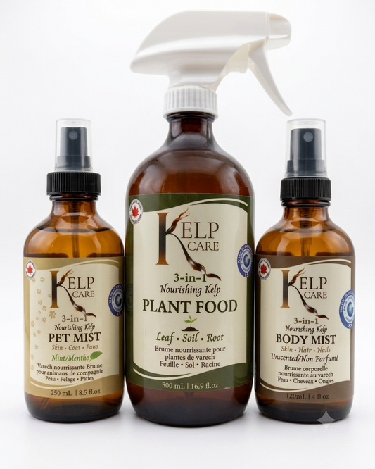The Benefits and Convenience of 3-In-1 Care Products