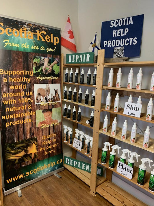 Harnessing the Power of Kelp: Transforming Cosmetics, Agriculture, and Animal Well-being